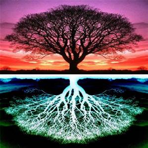 treeoflife